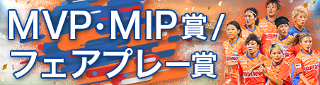 MVP・MIP賞/フェアプレー賞