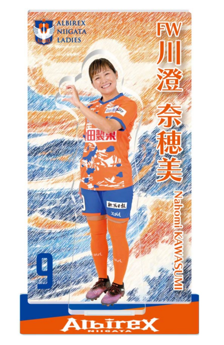 【非売品　超希少】オフィシャル　アルビレックス新潟　セットアップ 非売品 超希少】オフィシャル アルビレックス新潟 セットアップ